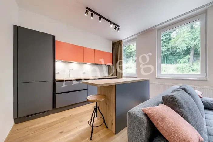 Pronájem bytu 1+kk, Praha - Vinohrady, Perucká, 26 m2