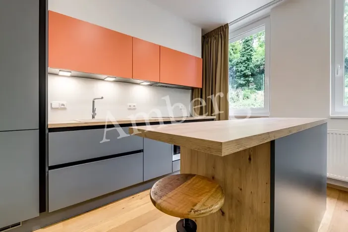 Pronájem bytu 1+kk, Praha - Vinohrady, Perucká, 26 m2