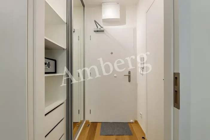Pronájem bytu 1+kk, Praha - Vinohrady, Perucká, 26 m2