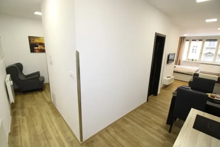 Pronájem bytu 1+kk, Praha - Nové Město, Opletalova, 35 m2