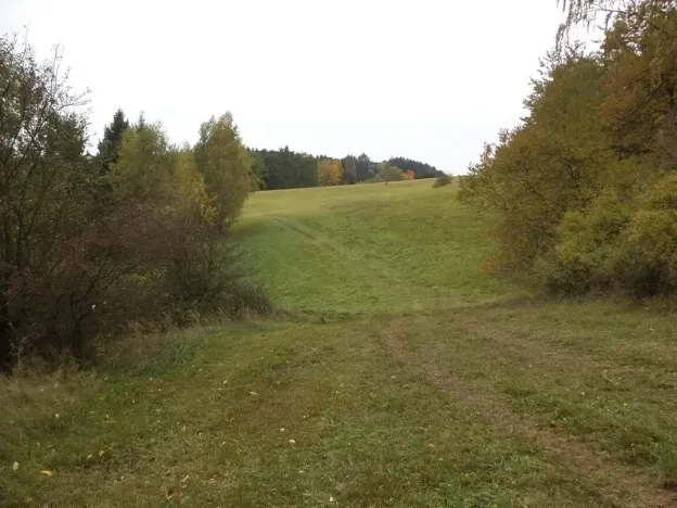 Dražba pozemku pro bydlení, Vidochov, 4068 m2