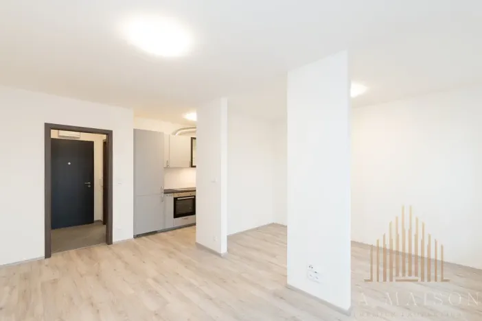 Pronájem bytu 1+kk, Kralupy nad Vltavou, Nádražní, 38 m2