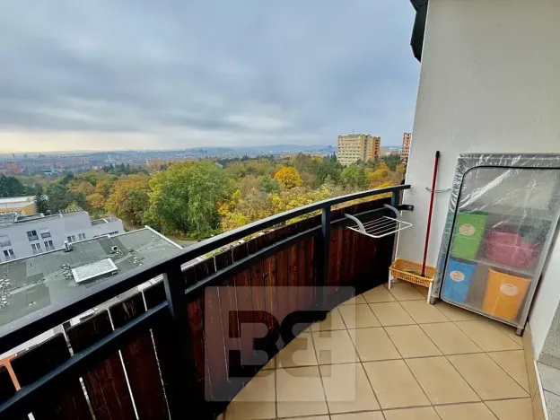 Pronájem bytu 1+1, Brno, Haškova, 30 m2