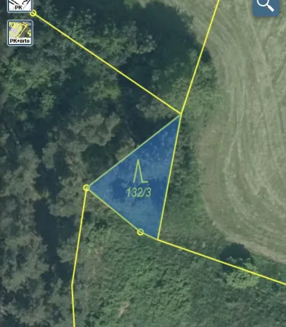 Prodej lesa, Čepřovice, 193 m2