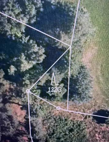 Prodej lesa, Čepřovice, 193 m2