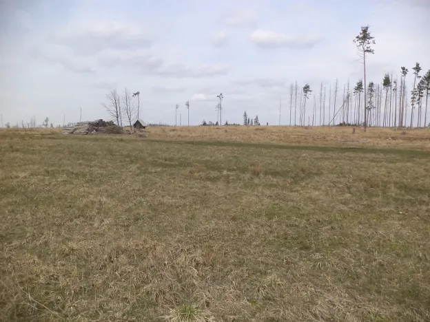 Prodej pole, Opatov, 25464 m2