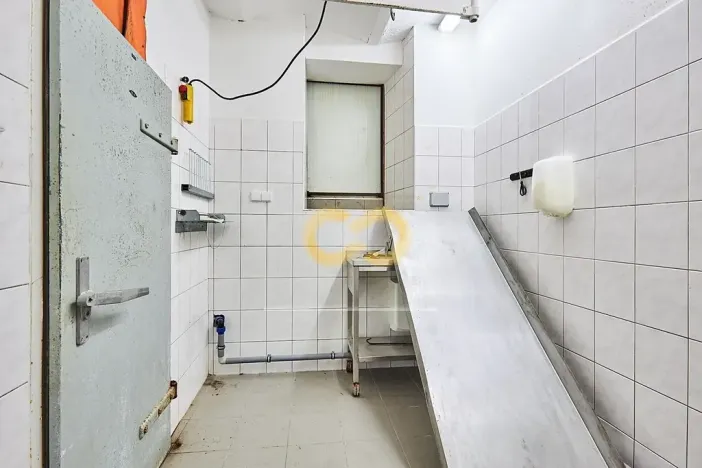 Prodej ubytování, Hoslovice, 468 m2