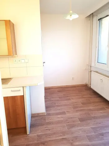 Pronájem bytu 1+1, České Budějovice, K. Šafáře, 43 m2