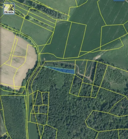 Prodej lesa, Čepřovice, 982 m2