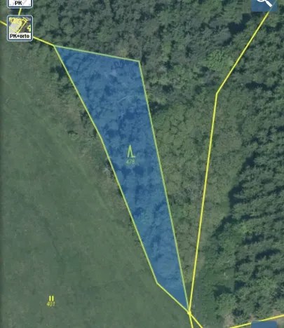 Prodej lesa, Čepřovice, 1644 m2