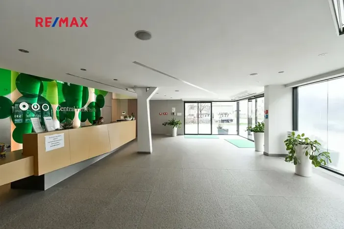 Pronájem bytu 4+kk, Praha - Žižkov, Ke kapslovně, 156 m2