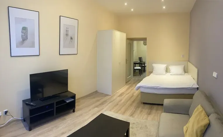 Pronájem bytu 1+1, Praha - Vinohrady, Máchova, 40 m2