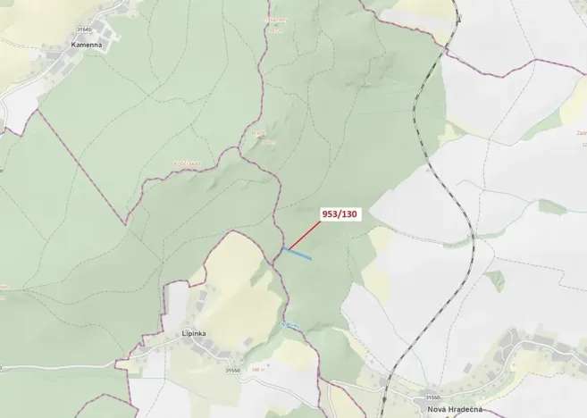 Dražba lesa, Nová Hradečná, 5079 m2