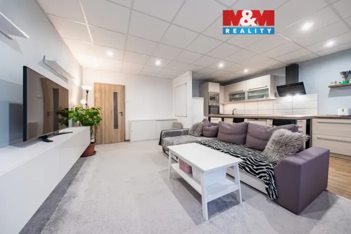 Prodej bytu 3+kk, Most, K. J. Erbena, 72 m2