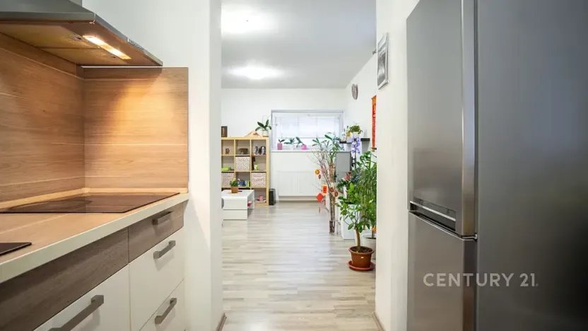 Prodej bytu 2+kk, Plzeň, U Velkého rybníka, 58 m2