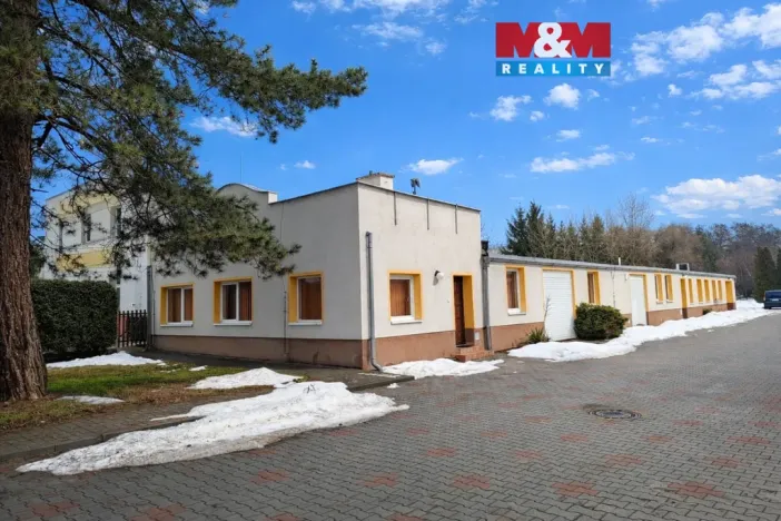 Pronájem obchodního prostoru, Teplice, Dubská, 460 m2