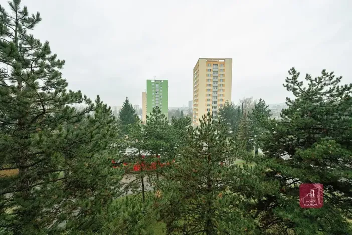 Prodej bytu 1+kk, Brno, Žitná, 29 m2