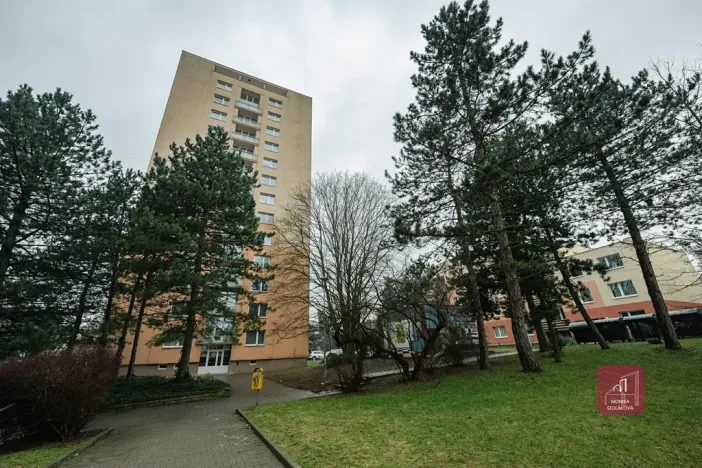 Prodej bytu 1+kk, Brno, Žitná, 29 m2