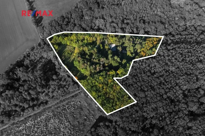 Prodej lesa, Praha - Malá Chuchle, 17570 m2