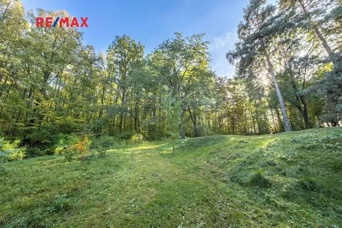 Prodej lesa, Praha - Malá Chuchle, 17570 m2