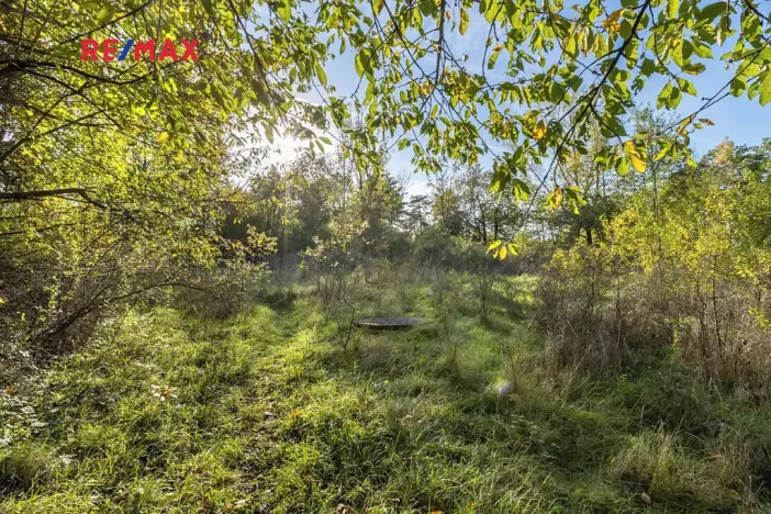 Prodej lesa, Praha - Malá Chuchle, 17570 m2