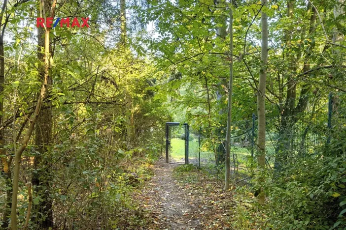 Prodej lesa, Praha - Malá Chuchle, 17570 m2