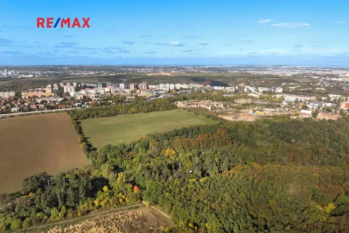 Prodej lesa, Praha - Malá Chuchle, 17570 m2