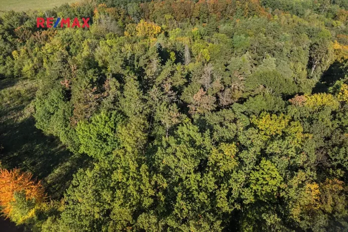 Prodej lesa, Praha - Malá Chuchle, 17570 m2