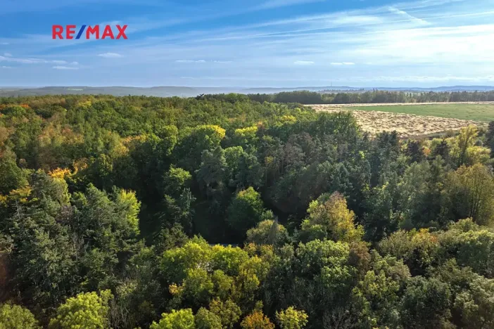 Prodej lesa, Praha - Malá Chuchle, 17570 m2