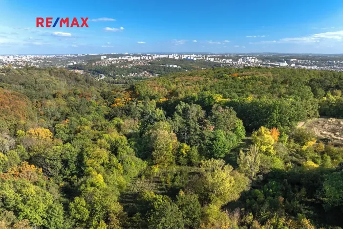 Prodej lesa, Praha - Malá Chuchle, 17570 m2