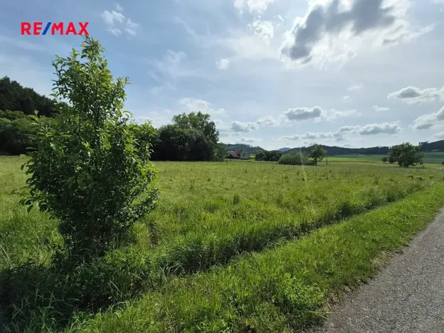 Prodej komerčního pozemku, Linhartice, 12284 m2