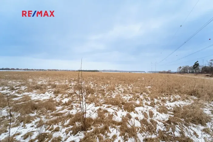 Prodej pole, Veltruby, 10898 m2