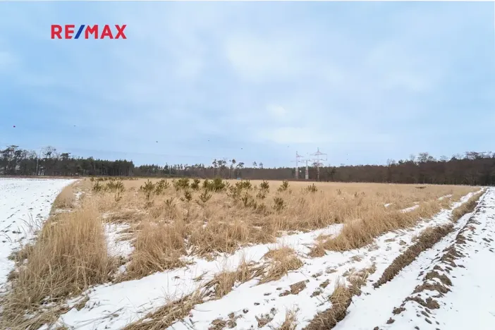 Prodej pole, Veltruby, 10898 m2