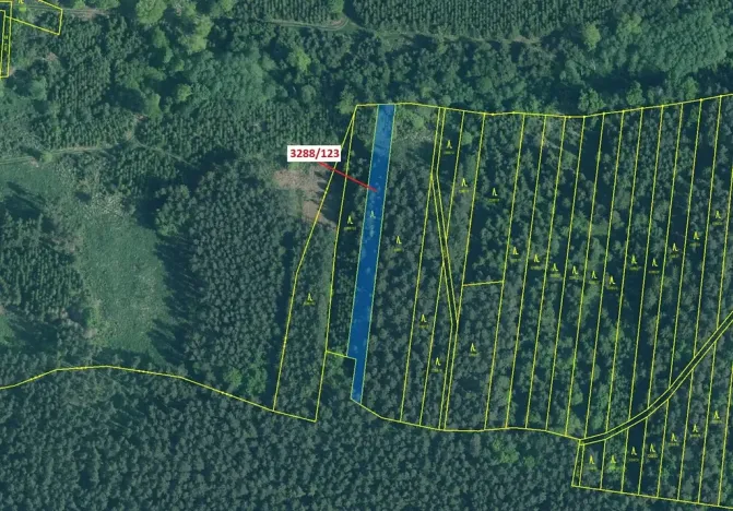 Dražba lesa, Hosty, 1707 m2