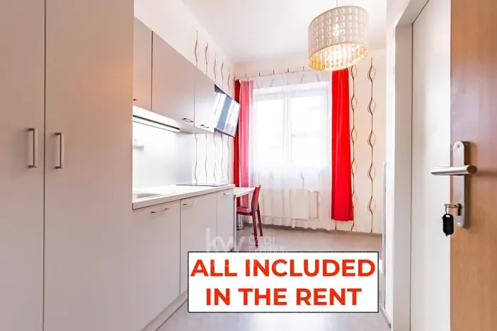 Pronájem bytu 1+kk, Praha - Nusle, Na Jezerce, 18 m2