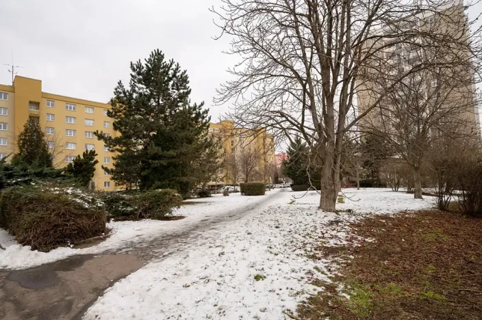 Prodej bytu 2+1, Praha - Malešice, Limuzská, 47 m2