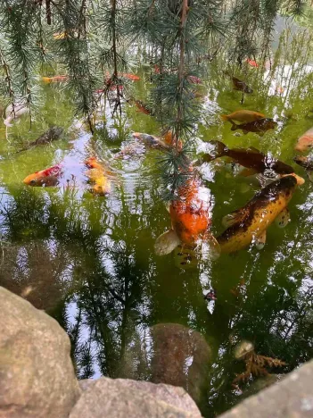 Prodej rodinného domu, Nový Jáchymov, 200 m2