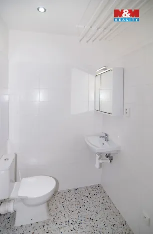 Prodej bytu 1+kk, Ostrava - Moravská Ostrava, Ahepjukova, 25 m2