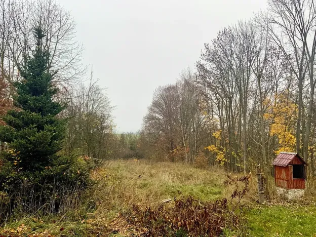 Dražba pozemku pro bydlení, Bělá nad Radbuzou, 1770 m2