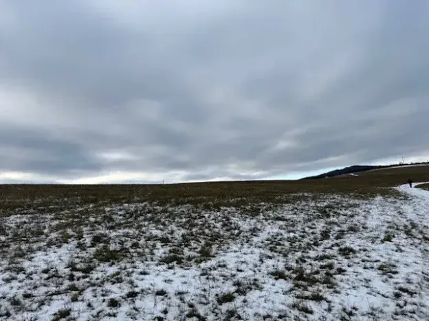 Dražba pole, Litoměřice, 8107 m2