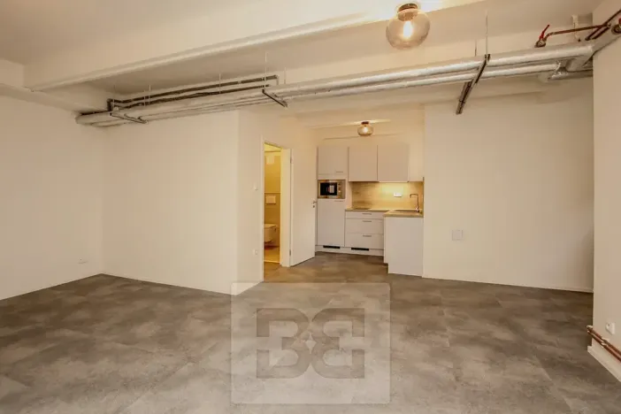 Pronájem bytu 1+kk, Praha - Holešovice, Vinařská, 40 m2