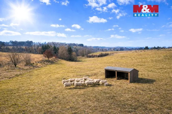 Prodej louky, Podmoky, 2480 m2