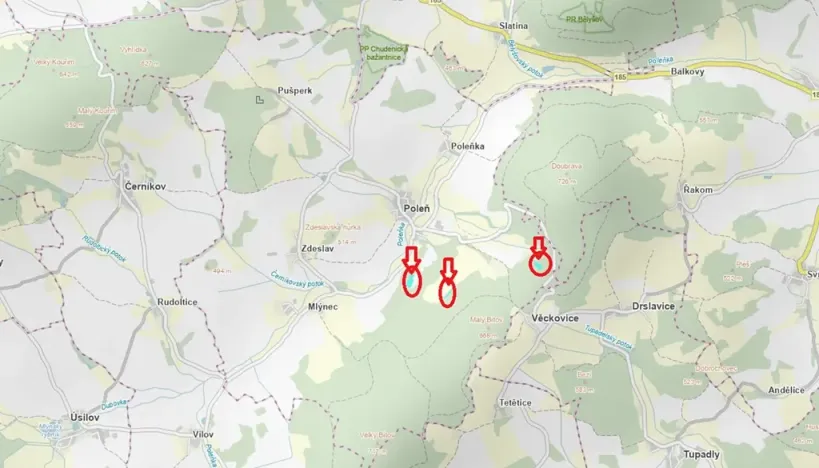 Prodej lesa, Poleň, 11901 m2