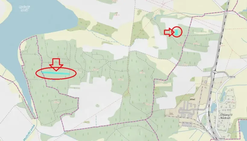 Prodej lesa, Myslív, 4556 m2