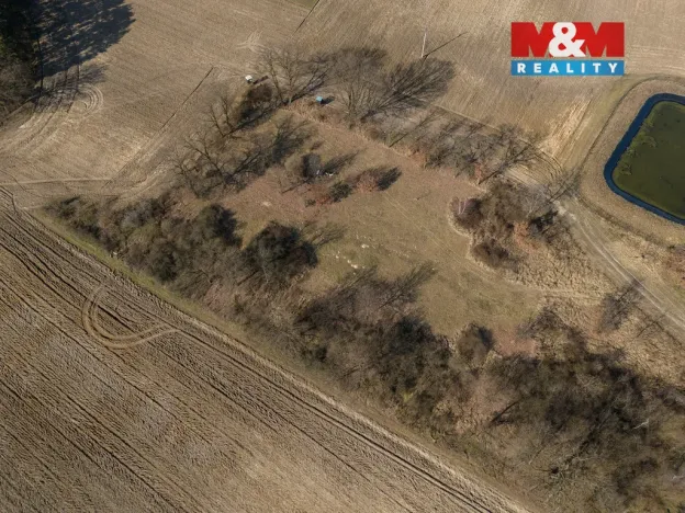 Prodej lesa, Tuřice, 7985 m2