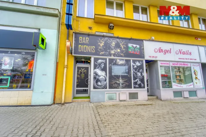 Pronájem obchodního prostoru, Plzeň - Východní Předměstí, Americká, 208 m2