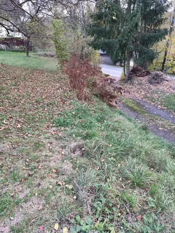 Prodej pozemku pro bydlení, Rychnov u Jablonce nad Nisou, Kokonínská, 1706 m2