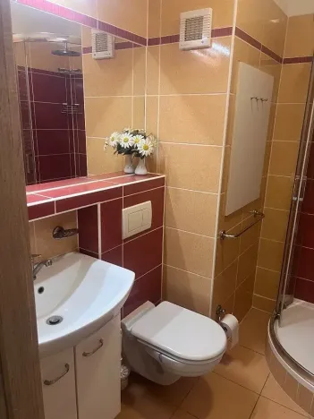 Pronájem bytu 1+1, Jihlava, Březinova, 33 m2