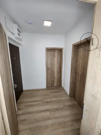 Pronájem bytu 1+kk, České Budějovice, Dobrovodská, 41 m2