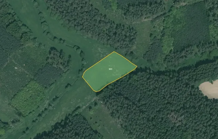 Prodej pole, Poběžovice, 18914 m2